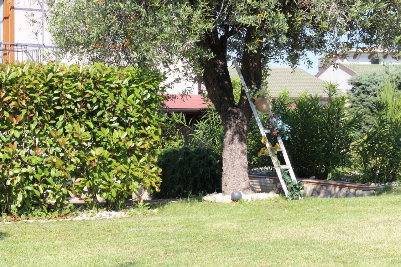 Bed & Breakfast Mafi Orsogna Exterior photo