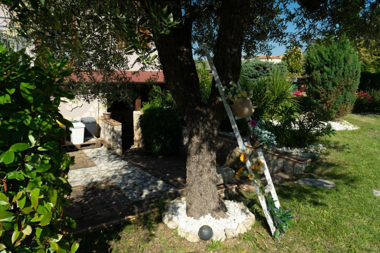 Bed & Breakfast Mafi Orsogna Exterior photo
